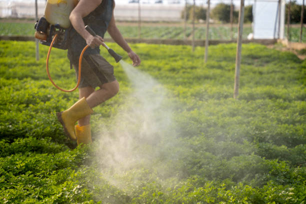 Reliable Charlottesville, VA Pest Control Solutions
