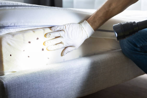 Best Bed Bug Extermination  in Charlottesville, VA