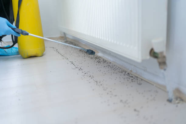Best Pest Prevention Services  in Charlottesville, VA